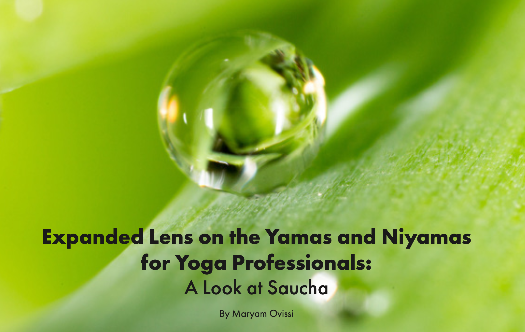 Thanh Lọc Thân Tâm Trong Yoga Trị Liệu